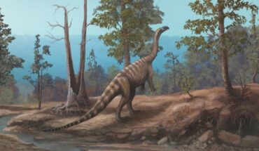 Life reconstruction of Musango matusadonaensis. Image credit: Mark Witton.