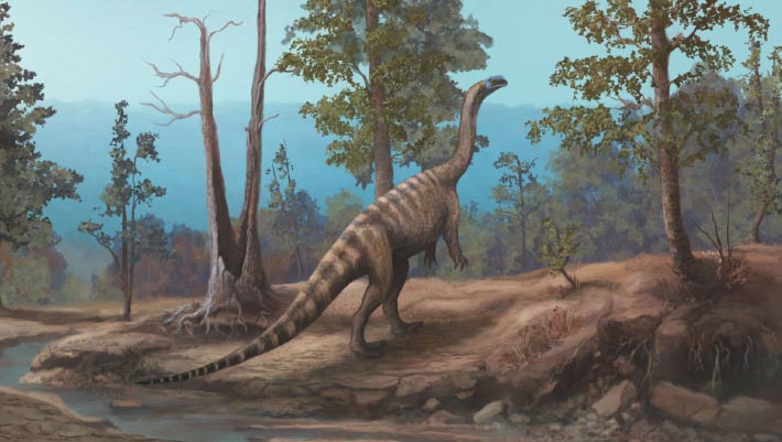 New Species of Triassic Dinosaur Discovered on Shores of Zimbabwe’s Lake Kariba
