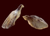 Two bird figurines found at Hohle Fels Cave in Germany. Image credit: Ralf Ehmann / University of Tübingen / Museum of Prehistory and Ice Age Art.