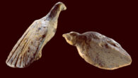 Two bird figurines found at Hohle Fels Cave in Germany. Image credit: Ralf Ehmann / University of Tübingen / Museum of Prehistory and Ice Age Art.