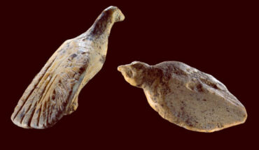 Two bird figurines found at Hohle Fels Cave in Germany. Image credit: Ralf Ehmann / University of Tübingen / Museum of Prehistory and Ice Age Art.