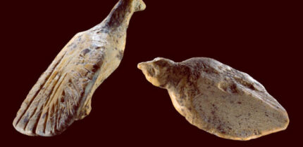 Two bird figurines found at Hohle Fels Cave in Germany. Image credit: Ralf Ehmann / University of Tübingen / Museum of Prehistory and Ice Age Art.