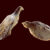 Two bird figurines found at Hohle Fels Cave in Germany. Image credit: Ralf Ehmann / University of Tübingen / Museum of Prehistory and Ice Age Art.