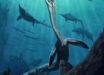 Life reconstruction of Austronaga minuta. Image credit: Gabriel Ugueto.