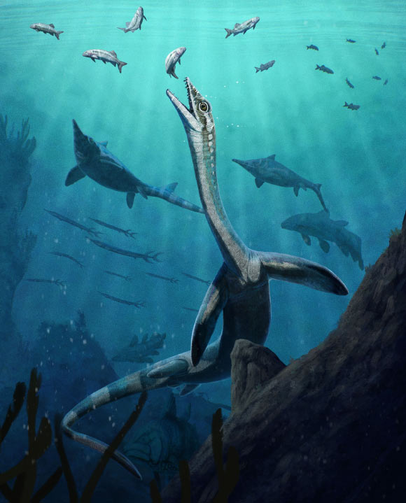 244-Million-Year-Old Fossil Preserves Earliest Reptilian Digestive System