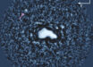 This image of the Nysa system was captured on February 15, 2026. Image credit: Minker et al., arXiv: 2607.25786.