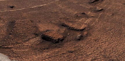 The polygon fractures discovered by Curiosity in Gale crater, Mars. Image credit: NASA / JPL-Caltech / MSSS.