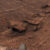 The polygon fractures discovered by Curiosity in Gale crater, Mars. Image credit: NASA / JPL-Caltech / MSSS.