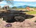 Reconstruction of Spea labreae (center and right) in La Brea Tar Pits compared with Spea hammondii (left), the species currently present in the area, and the presence of the Mexican burrowing toad (bottom). Image credit: Arturo Dávalos.