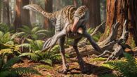 Life reconstruction of Dinevenator robustus. Image credit: Sergey Krasovskiy.