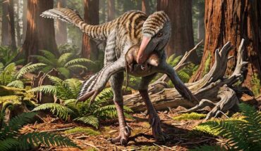 Life reconstruction of Dinevenator robustus. Image credit: Sergey Krasovskiy.
