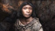 An artist’s rendering of a Homo antecessor individual known as the Girl of Gran Dolina. Image credit: Tom Björklund.