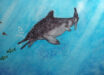 An artistic reconstruction of Jabalisaurus tethyensis, depicted in the water column close to the surface while pursuing halecomorph fishes. Image credit: Giovanni Serafini.