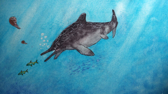 An artistic reconstruction of Jabalisaurus tethyensis, depicted in the water column close to the surface while pursuing halecomorph fishes. Image credit: Giovanni Serafini.