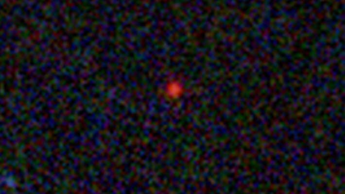 This Webb image shows the MoM-BH*-1 object. Image credit: NASA / ESA / CSA / Webb / Naidu et al., doi: 10.1038/s41586-026-10846-4.