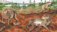 Life reconstruction of a group of Chiniquodon theotonicus individuals, a pregnant female (left) as well as a female (right) breastfeeding few, relatively large neonates. Image credit: María de los Ángeles Miceli Baro.