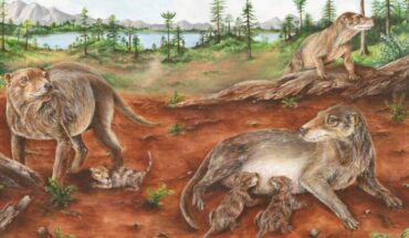 Life reconstruction of a group of Chiniquodon theotonicus individuals, a pregnant female (left) as well as a female (right) breastfeeding few, relatively large neonates. Image credit: María de los Ángeles Miceli Baro.