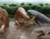 Reconstruction of the faunal assemblage of La Venta, showing the hypothetical predation event with Purussaurus neivensis attacking Pericotoxodon platignathus; also pictured in the foreground are Anhinga cf. A. grandis and Caiman sp. Image credit: Miguel Hernandez.