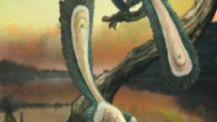 An illustration of Archaeopteryx. Image credit: Mark Witton.