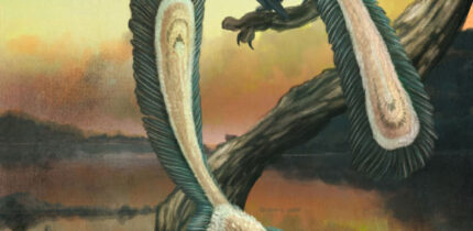 An illustration of Archaeopteryx. Image credit: Mark Witton.
