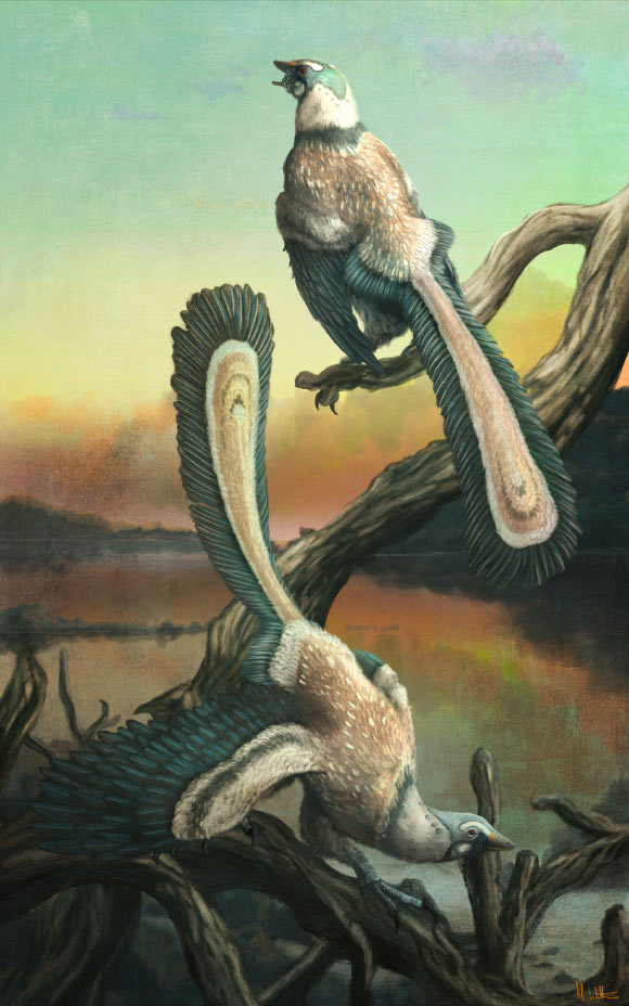 An illustration of Archaeopteryx. Image credit: Mark Witton.