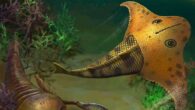Life reconstruction of Bataspis crux. Image credit: Dinghua Yang.