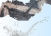 The holotype of Spatulidentatus breviceps. Image credit: Yang et al., doi: 10.16509/j.georeview.2025.11.052.