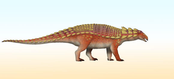 Nipponopelta yezoensis. Image credit: TotalDino / CC BY 4.0.