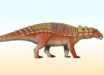 Nipponopelta yezoensis. Image credit: TotalDino / CC BY 4.0.