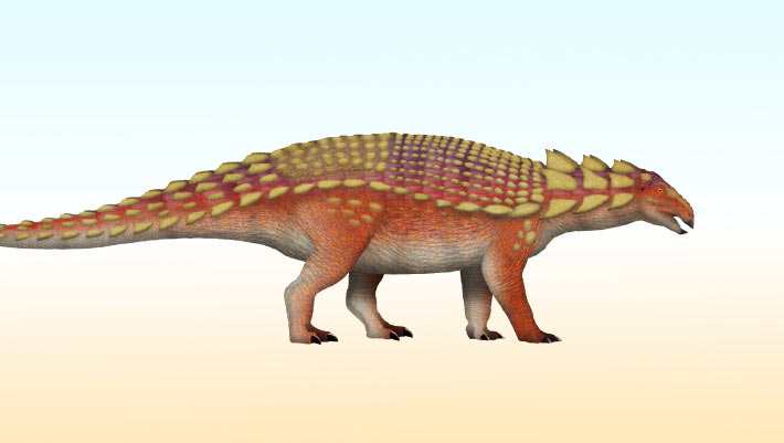New Armored Dinosaur Species Discovered in Japan