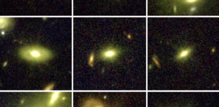 These Webb images show massive galaxies studied by Cheng et al. Image credit: Chloe Cheng.