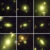 These Webb images show massive galaxies studied by Cheng et al. Image credit: Chloe Cheng.