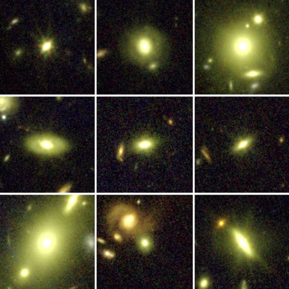 These Webb images show massive galaxies studied by Cheng et al. Image credit: Chloe Cheng.