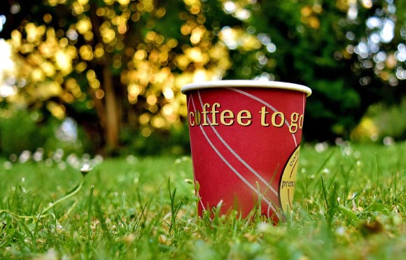 ‘Compostable’ Coffee Cups May Shed More Plastic than the Ones They’re Meant to Replace
