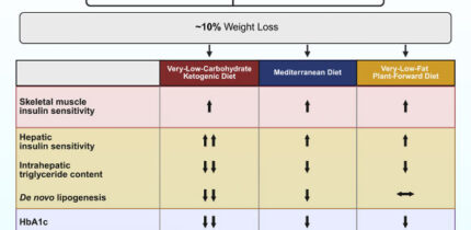 Diet macronutrient content affects the cardiometabolic benefits of weight loss. Image credit: Petersen et al., doi: 10.1016/j.cmet.2026.07.020.