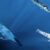 Reconstruction of a mosasaur and large fish preying on an injured Enchoteuthis, representing potential candidates for the bite marks on the octopod. Image credit: Kaitlin Lindblad.