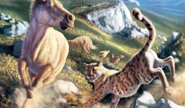 Miracinonyx trumani and the ecosystem this species lived in. Image credit: Julius Csotonyi.