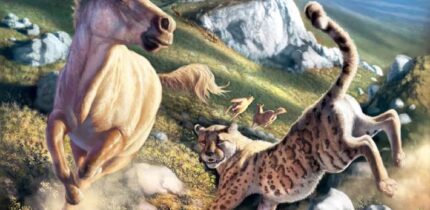 Miracinonyx trumani and the ecosystem this species lived in. Image credit: Julius Csotonyi.