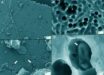 SEM images of LCAP films incubated undisturbed for more than a year in pristine forest soil. The arrow in panel (d) points at an object inside of such a cavity that might represent a (damaged) microbial cell; however, these were found very rarely; empty cavities were more representative (a-c). Image credit: Lerner et al., doi: 10.1093/ismejo/wrag203.