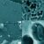SEM images of LCAP films incubated undisturbed for more than a year in pristine forest soil. The arrow in panel (d) points at an object inside of such a cavity that might represent a (damaged) microbial cell; however, these were found very rarely; empty cavities were more representative (a-c). Image credit: Lerner et al., doi: 10.1093/ismejo/wrag203.