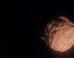 This artist’s concept depicts a trans-Neptunian object. Image credit: NASA / ESA / Leah Hustak, STScI.