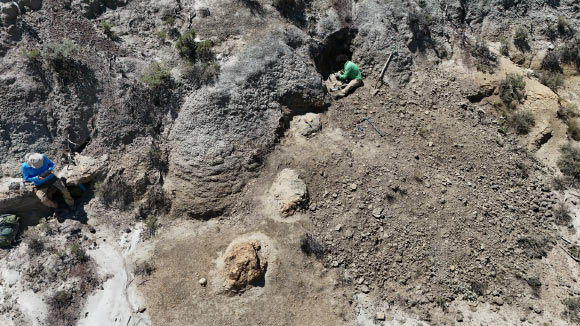 The Tyrannosaurus rex trackway in the Hell Creek Formation in North Dakota, the United States. Image credit: Kent Hups.