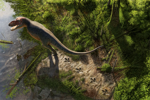 Walking Tyrannosaurus rex. Image credit: Andrey Atuchin.