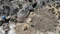 The Tyrannosaurus rex trackway in the Hell Creek Formation in North Dakota, the United States. Image credit: Kent Hups.