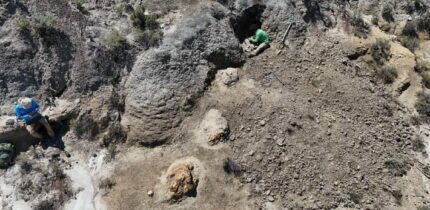 The Tyrannosaurus rex trackway in the Hell Creek Formation in North Dakota, the United States. Image credit: Kent Hups.