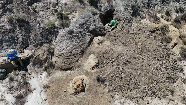 The Tyrannosaurus rex trackway in the Hell Creek Formation in North Dakota, the United States. Image credit: Kent Hups.