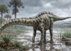The Spanish Diplodocus was a close relative of Diplodocus hallorum. Image credit: Carmelo López.