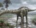 The Spanish Diplodocus was a close relative of Diplodocus hallorum. Image credit: Carmelo López.