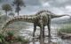 The Spanish Diplodocus was a close relative of Diplodocus hallorum. Image credit: Carmelo López.