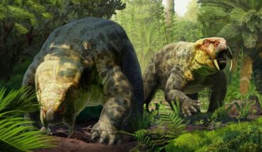 Life reconstruction of Dinodontosaurus isiyavamanda. Image credit: Gabriel Ugueto.